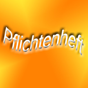 Pflichtenheft_orange